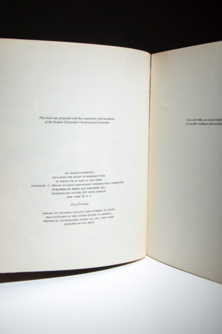 The Movement - Image 3