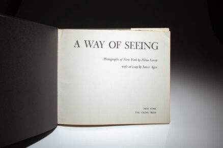 A Way Of Seeing - Image 4