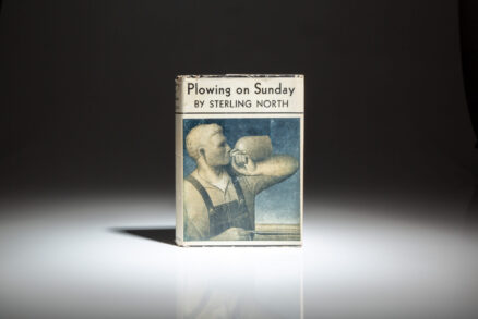 Plowing on Sunday - Image 5