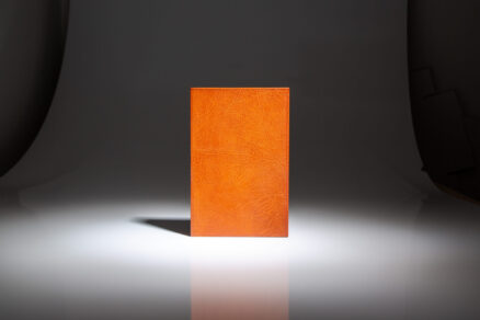 Everything to Gain - Image 6