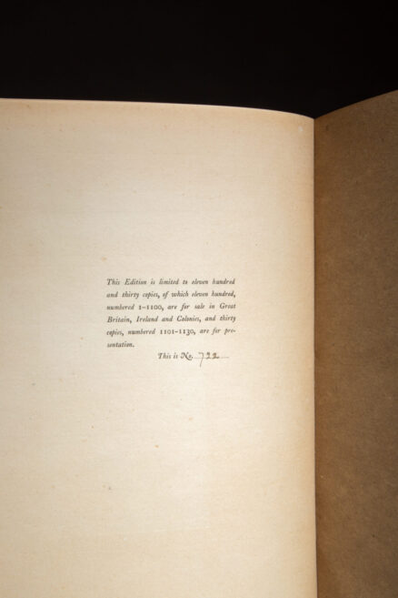 Alice's Adventures in Wonderland - Image 3