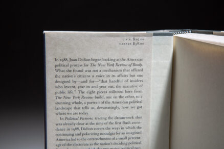 Political Fictions - Image 2