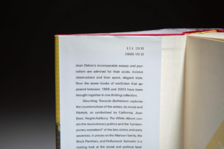 We Tell Ourselves Stories in Order to Live - Image 3