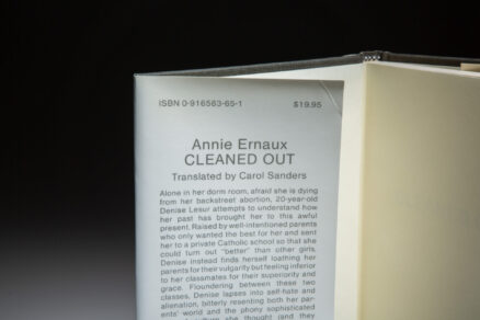 Cleaned Out - Image 3
