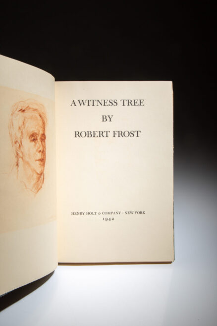 A Witness Tree - Image 4
