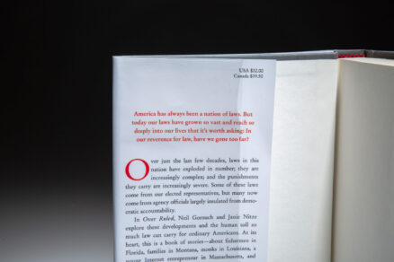 Over Ruled: The Human Toll of Too Much Law - Image 2