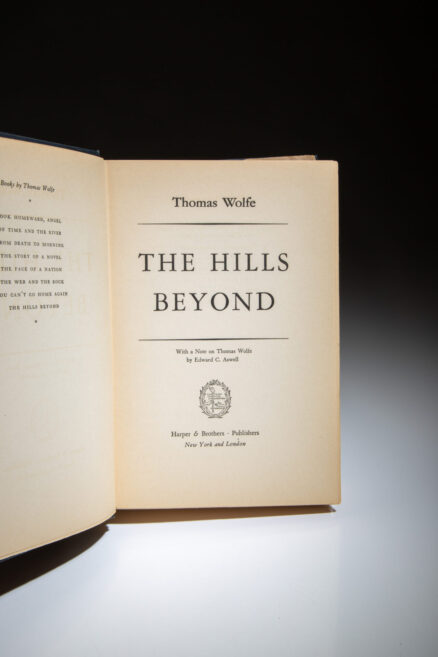 The Hills Beyond - Image 3