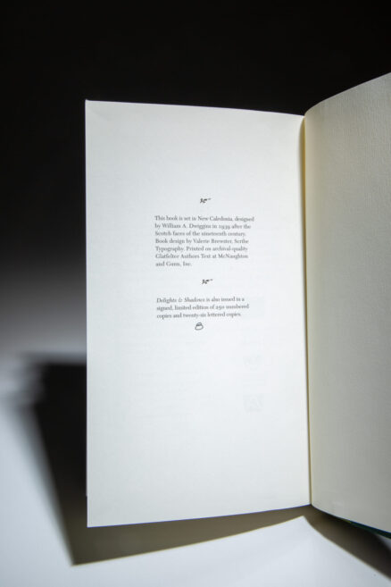 Delights and Shadows - Image 2