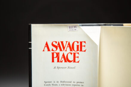 A Savage Place - Image 2