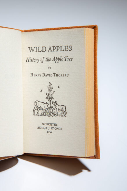 Wild Apples - Image 2