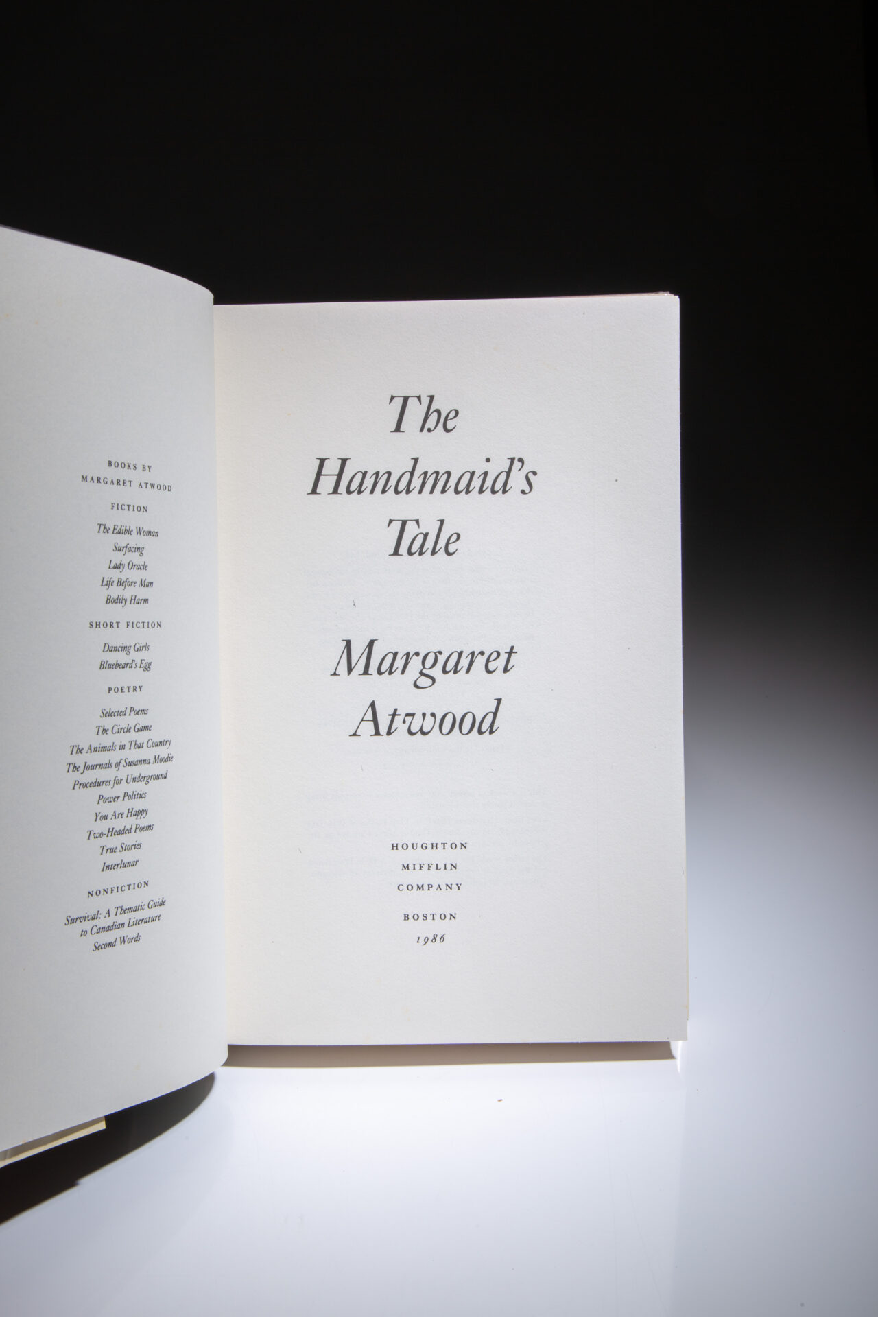 The Handmaid's Tale - Image 3