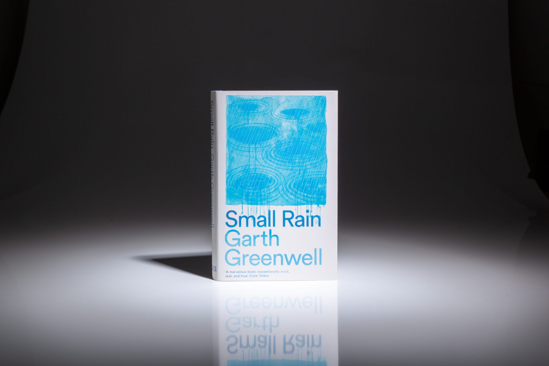 Small Rain - Image 5