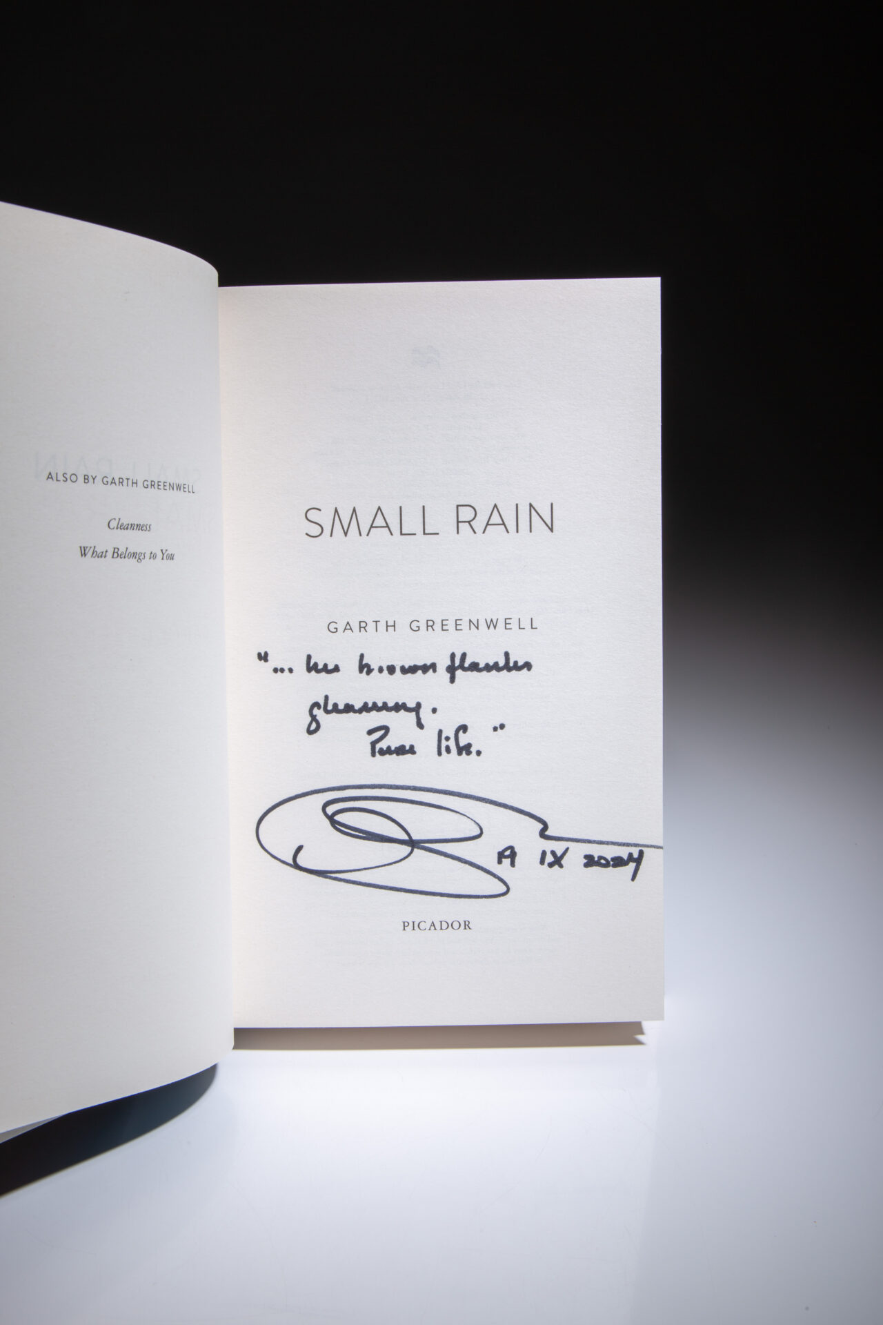 Small Rain - Image 2