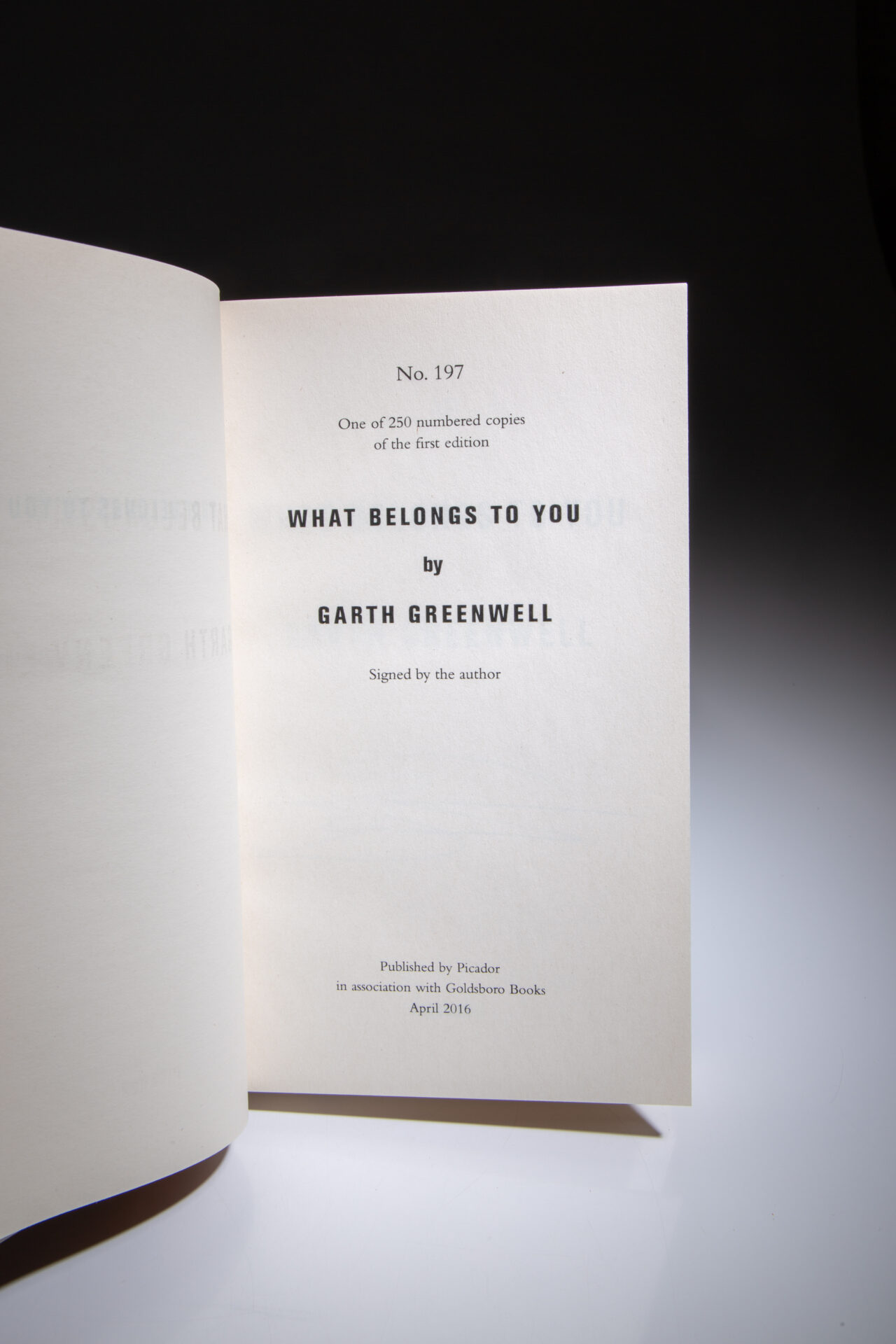 What Belongs to You - Image 2