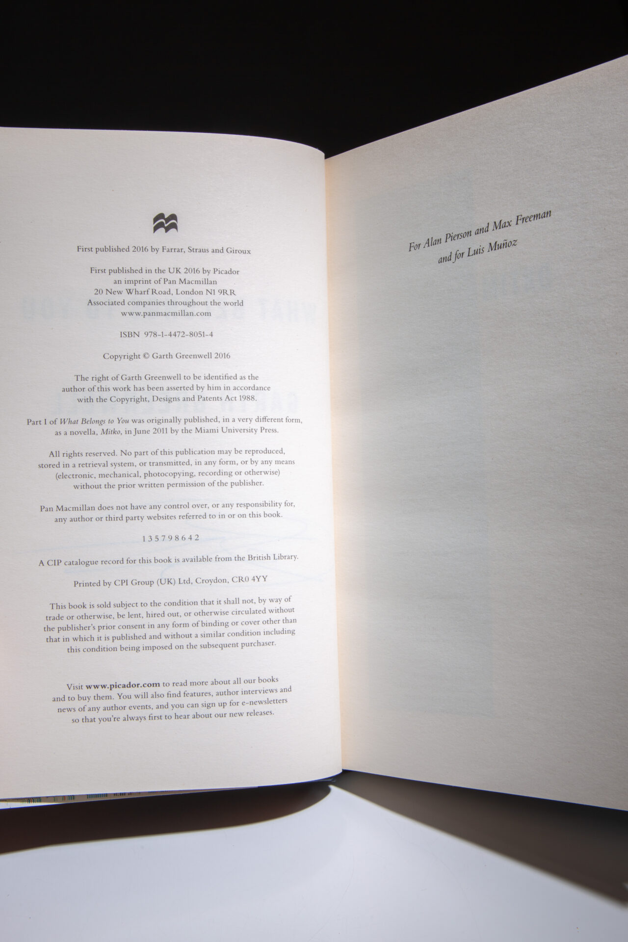 What Belongs to You - Image 4