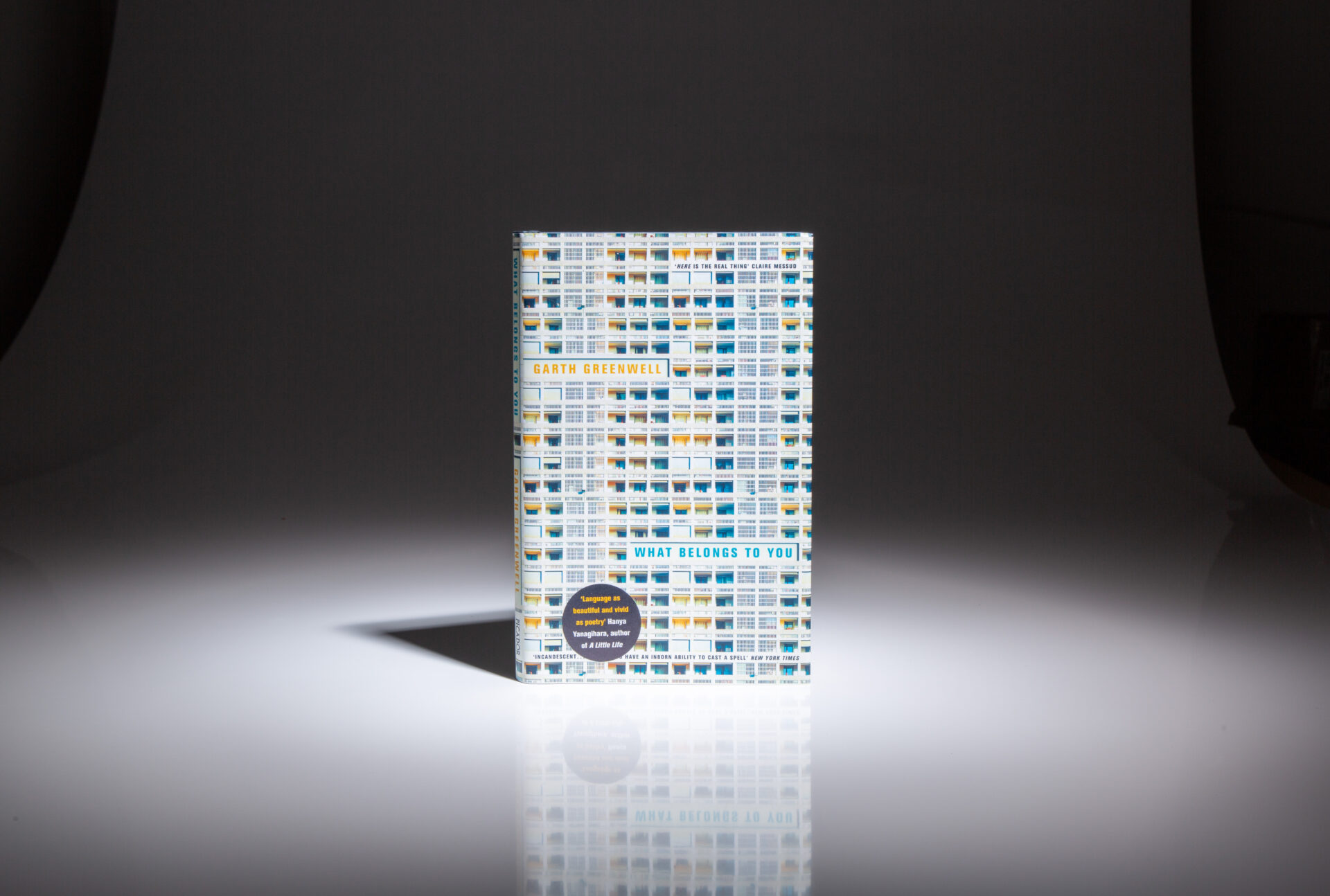 What Belongs to You - Image 5