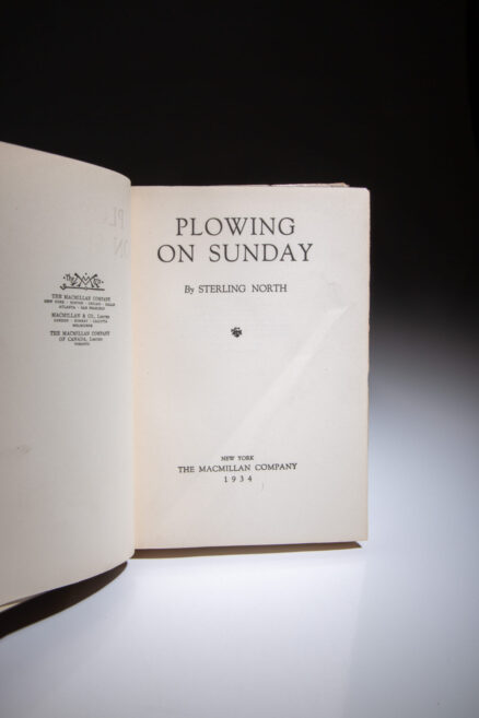 Plowing on Sunday - Image 5