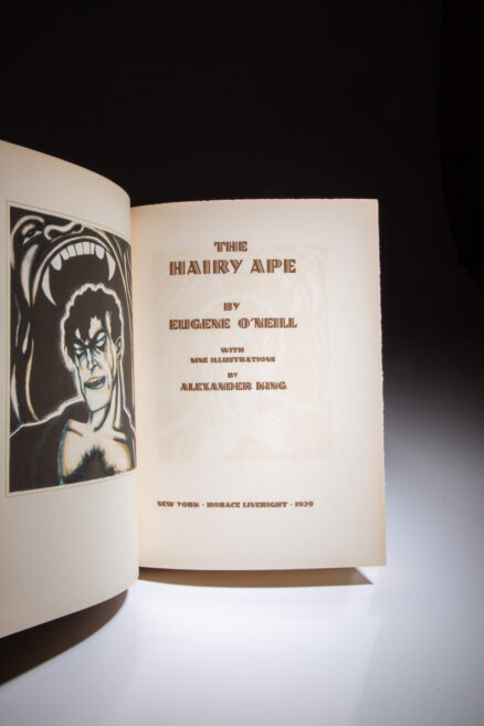 The Hairy Ape - Image 5