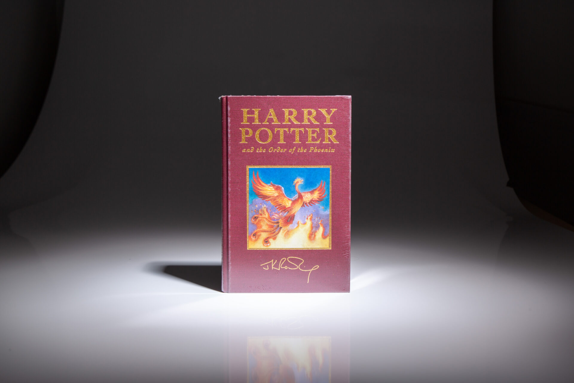 Harry Potter and the Order of the Phoenix - Image 3