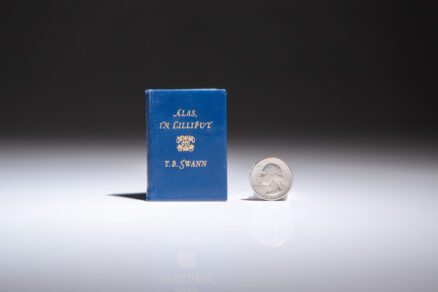 Alas, In Lilliput - Image 2