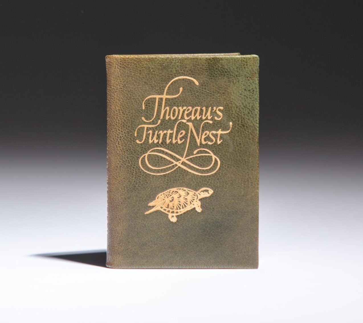 Thoreau's Turtle Nest by Henry David Thoreau, environmentalist and nature writer, published in 1967 by Achille St. Onge.