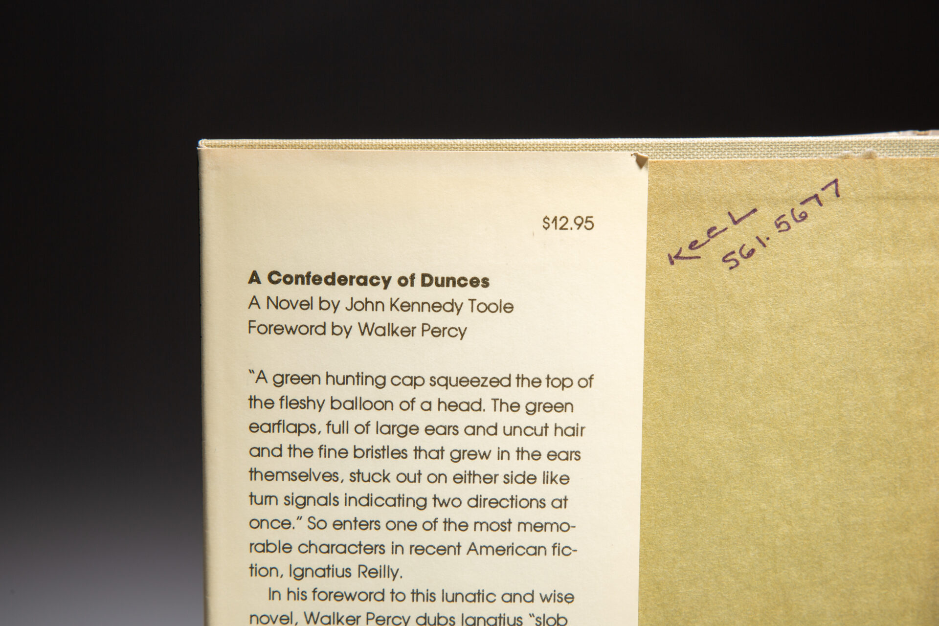 A Confederacy of Dunces - Image 2