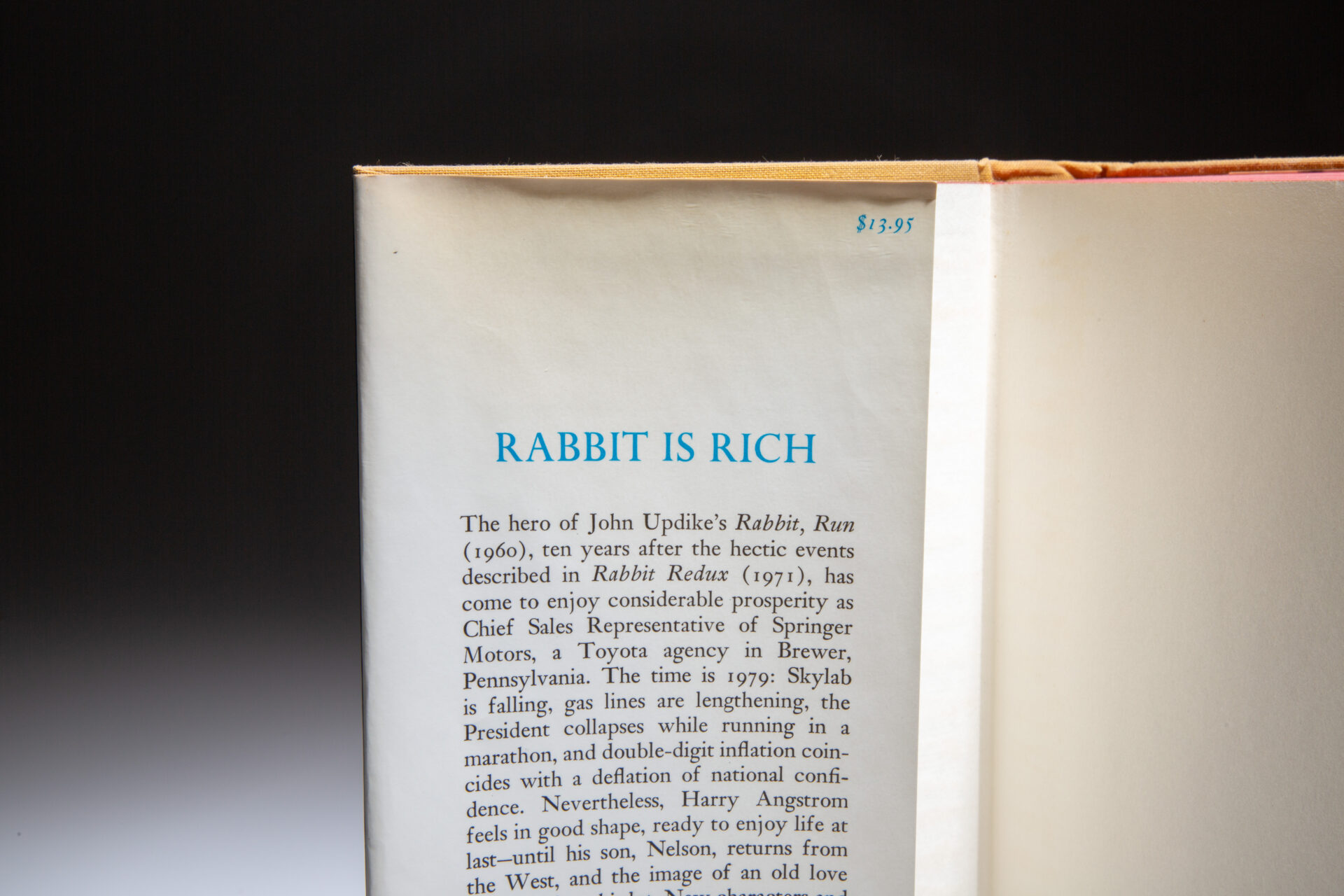 Rabbit is Rich - Image 4