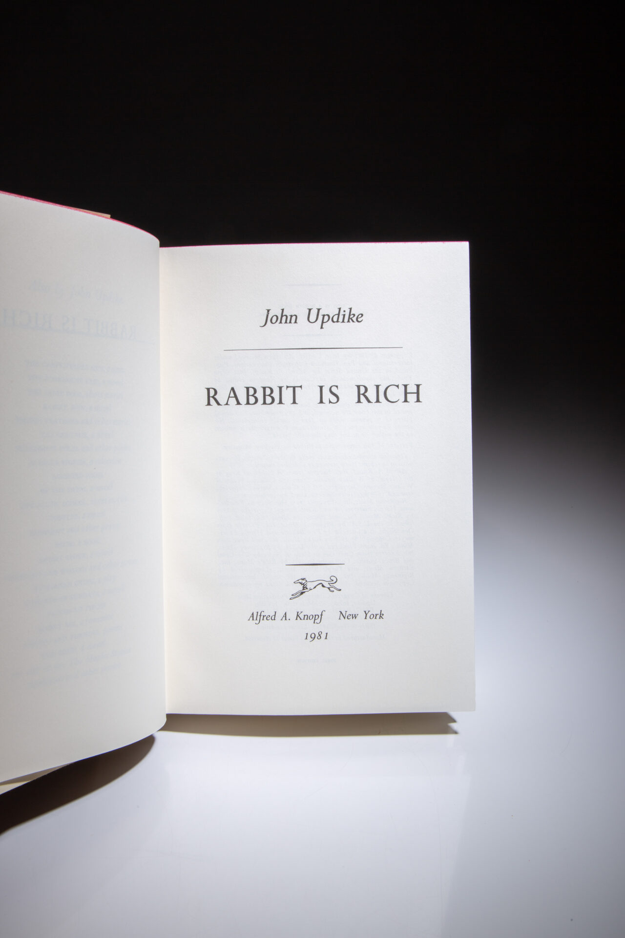 Rabbit is Rich - Image 2