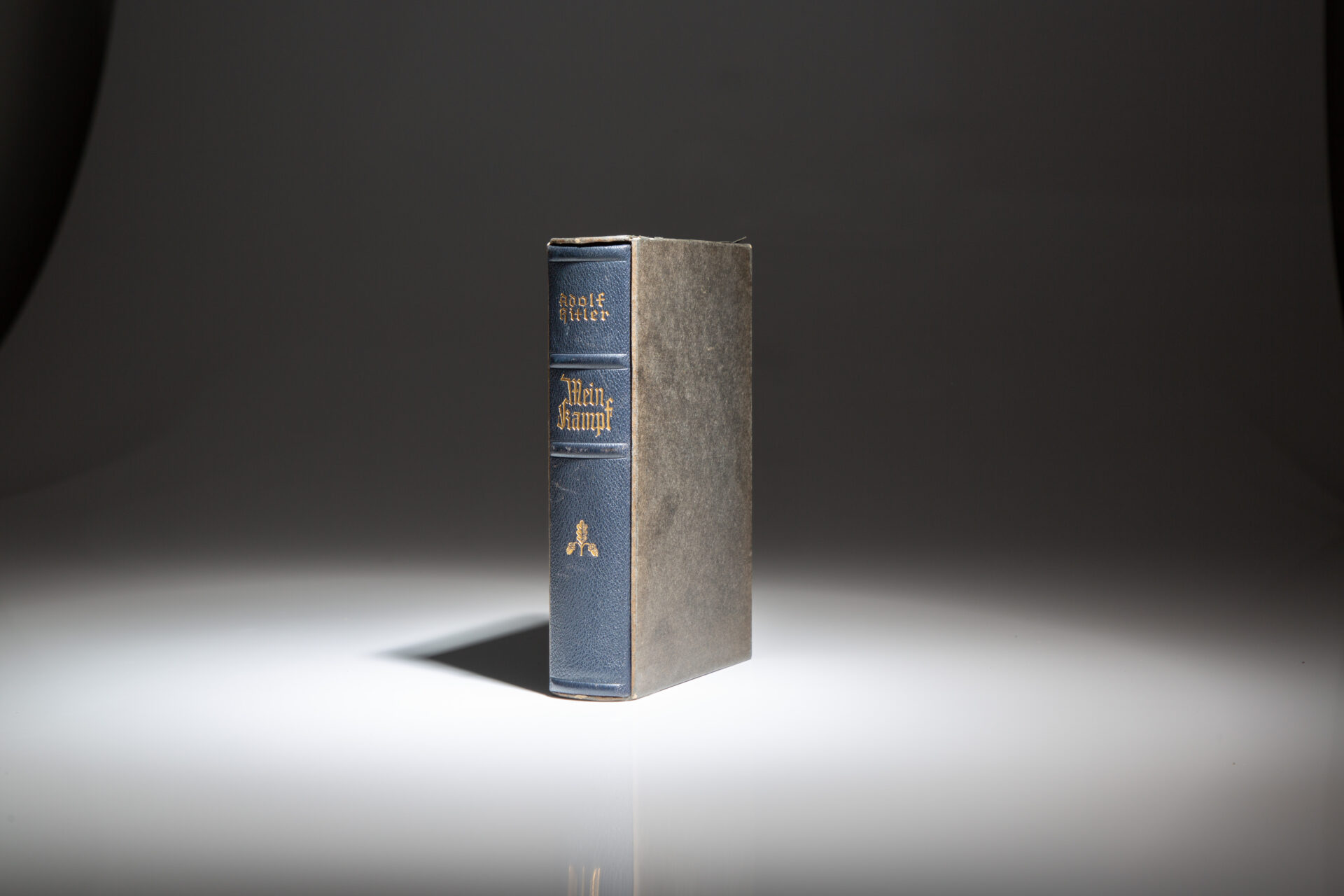 Mein Kampf - Image 6