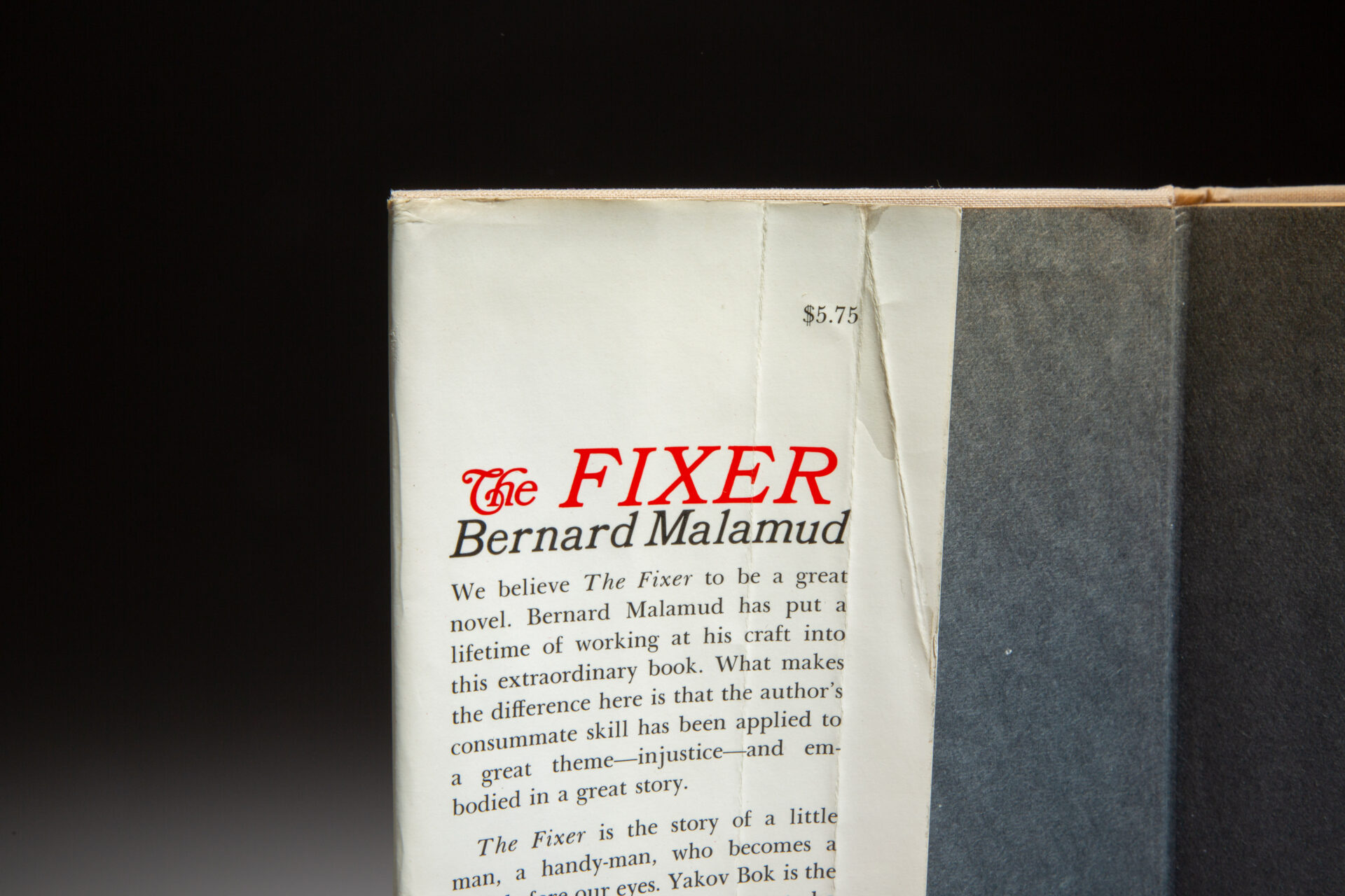 The Fixer - Image 2