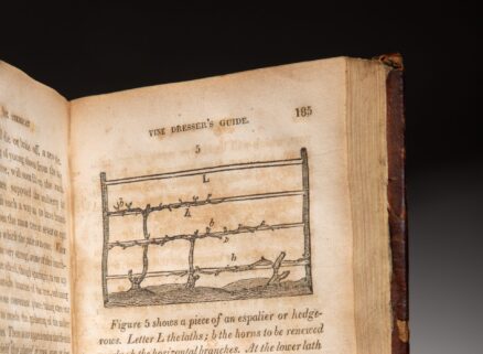 The American Vine-Dresser's Guide - Image 3