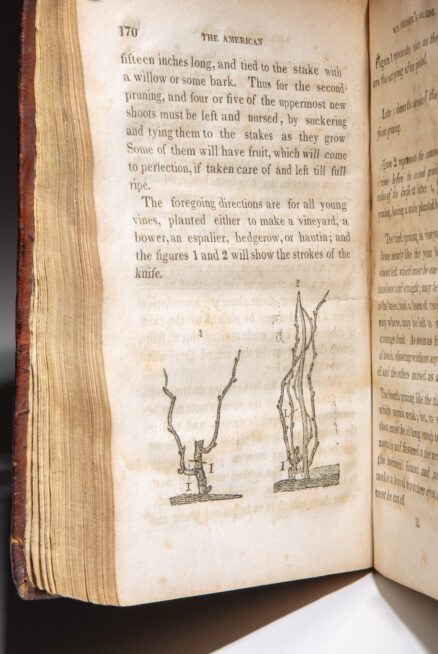 The American Vine-Dresser's Guide - Image 4