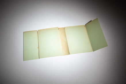 Mosquitoes - Image 6