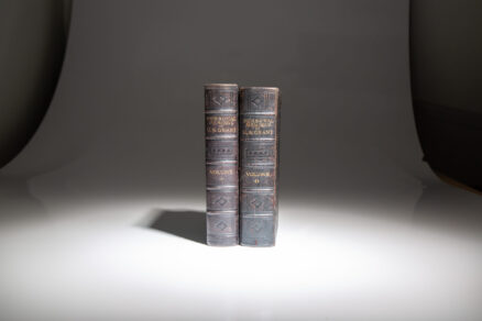 Personal Memoirs of U.S. Grant - Image 2