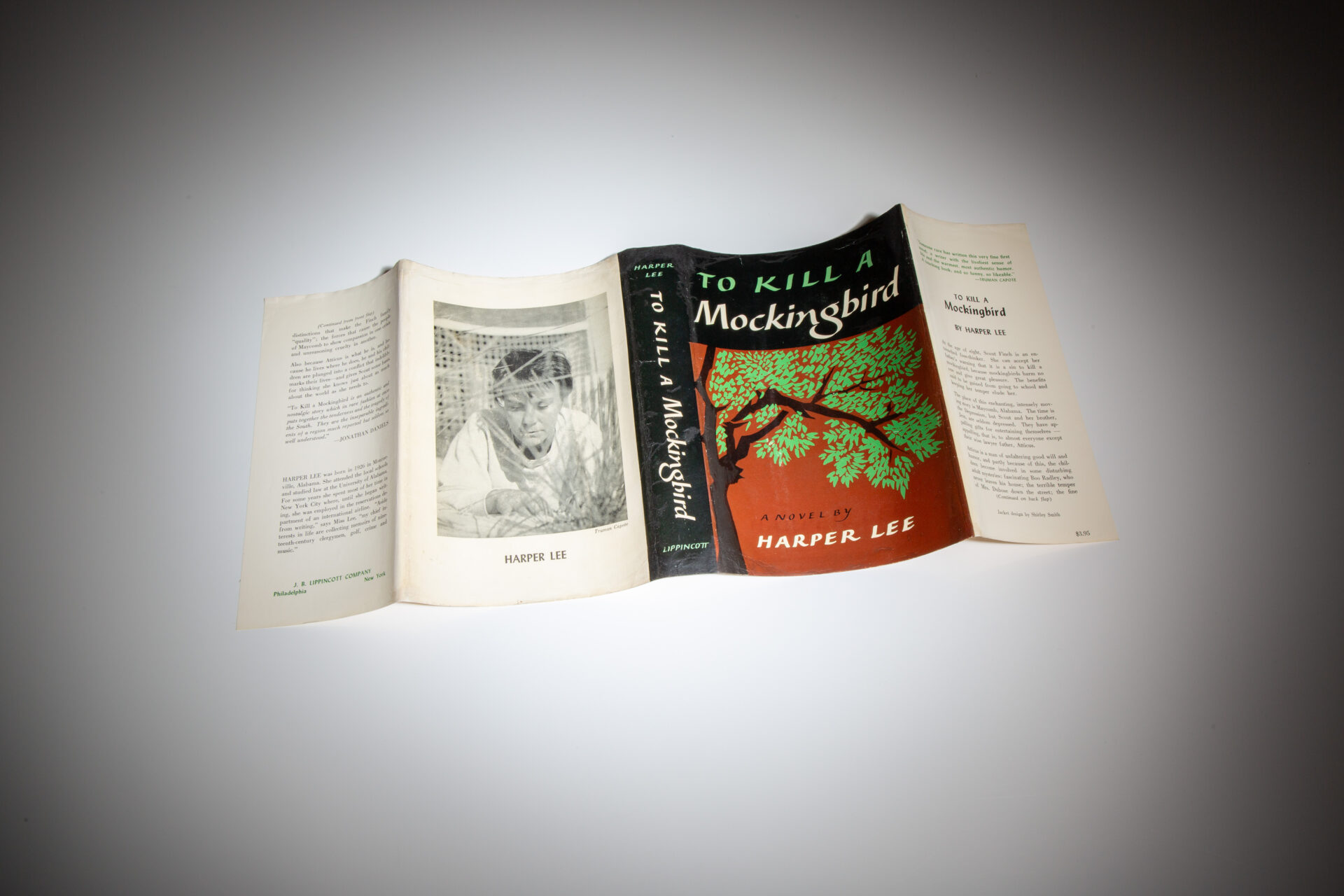 To Kill A Mockingbird - Image 10