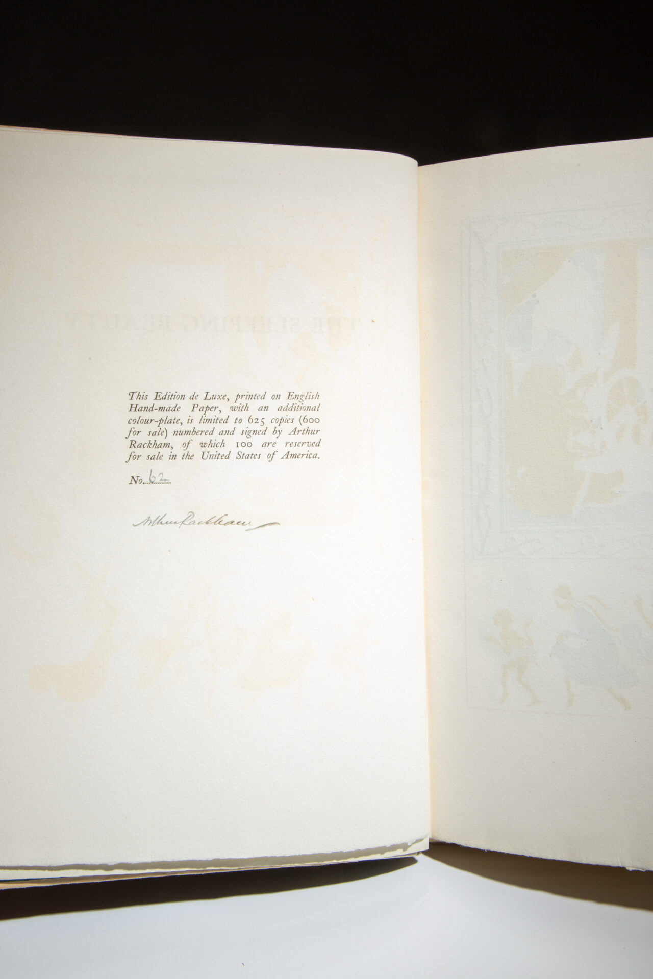 The Sleeping Beauty - Image 6