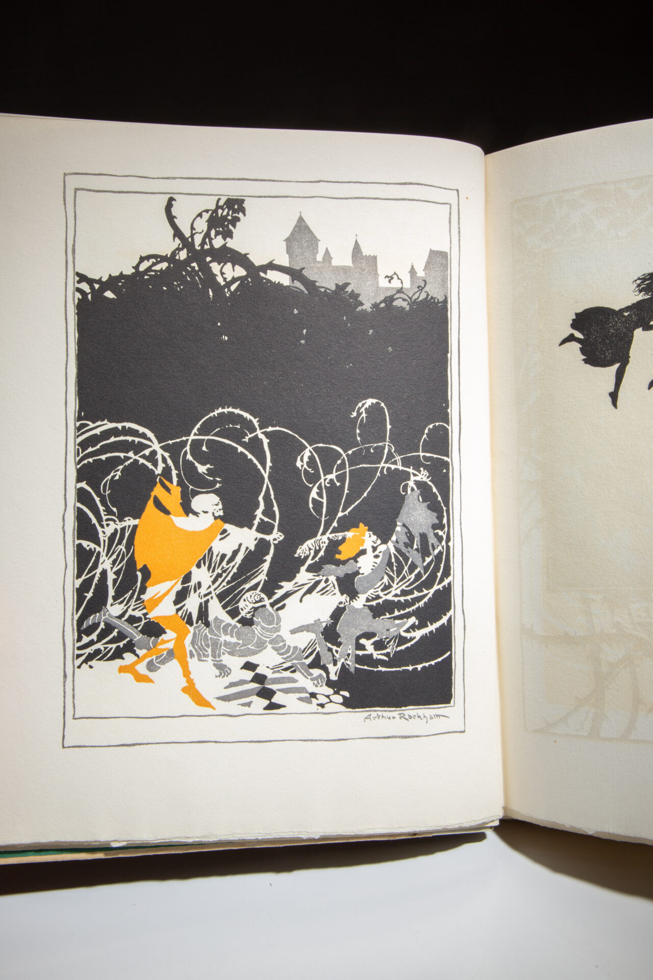 The Sleeping Beauty - Image 5