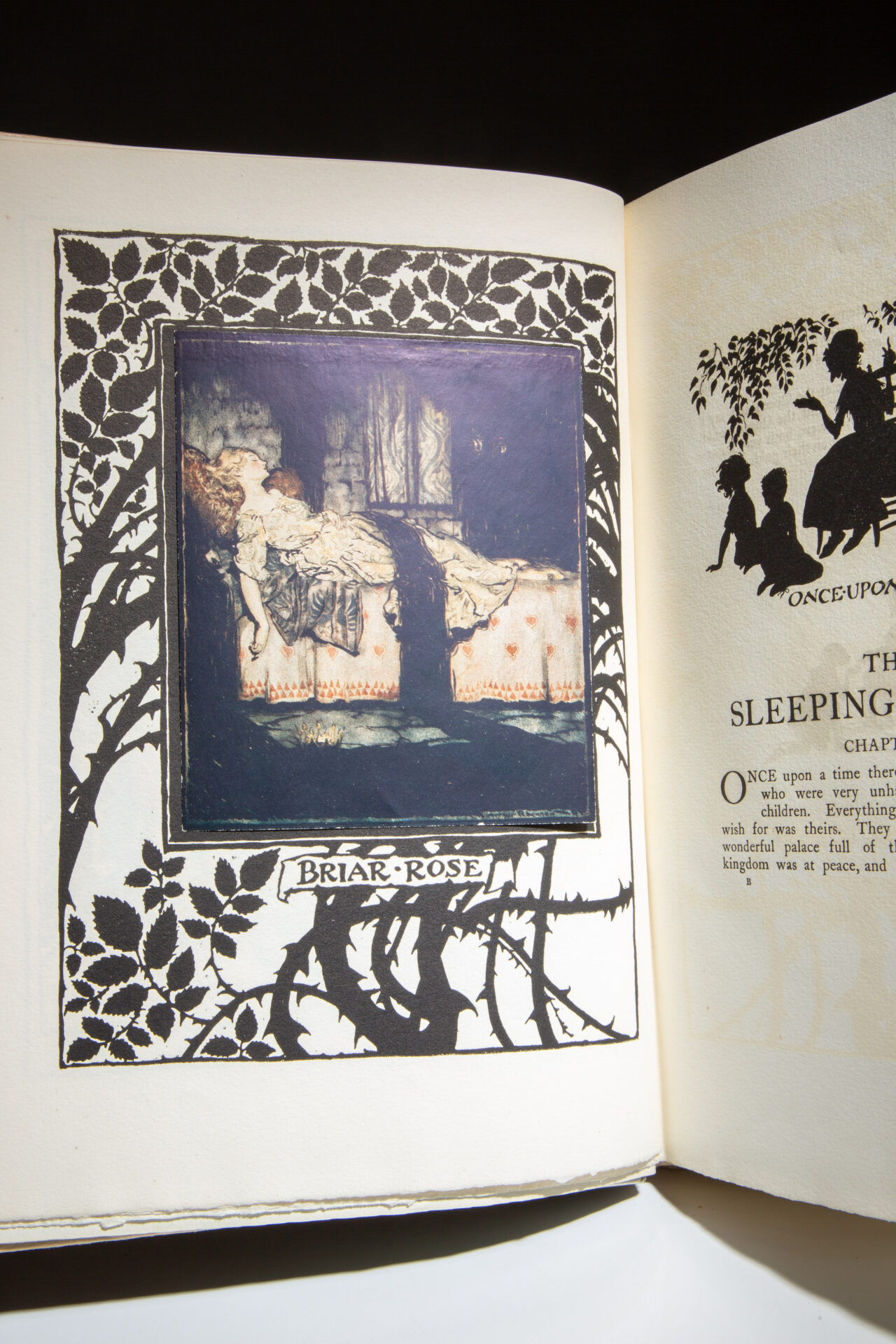 The Sleeping Beauty - Image 4