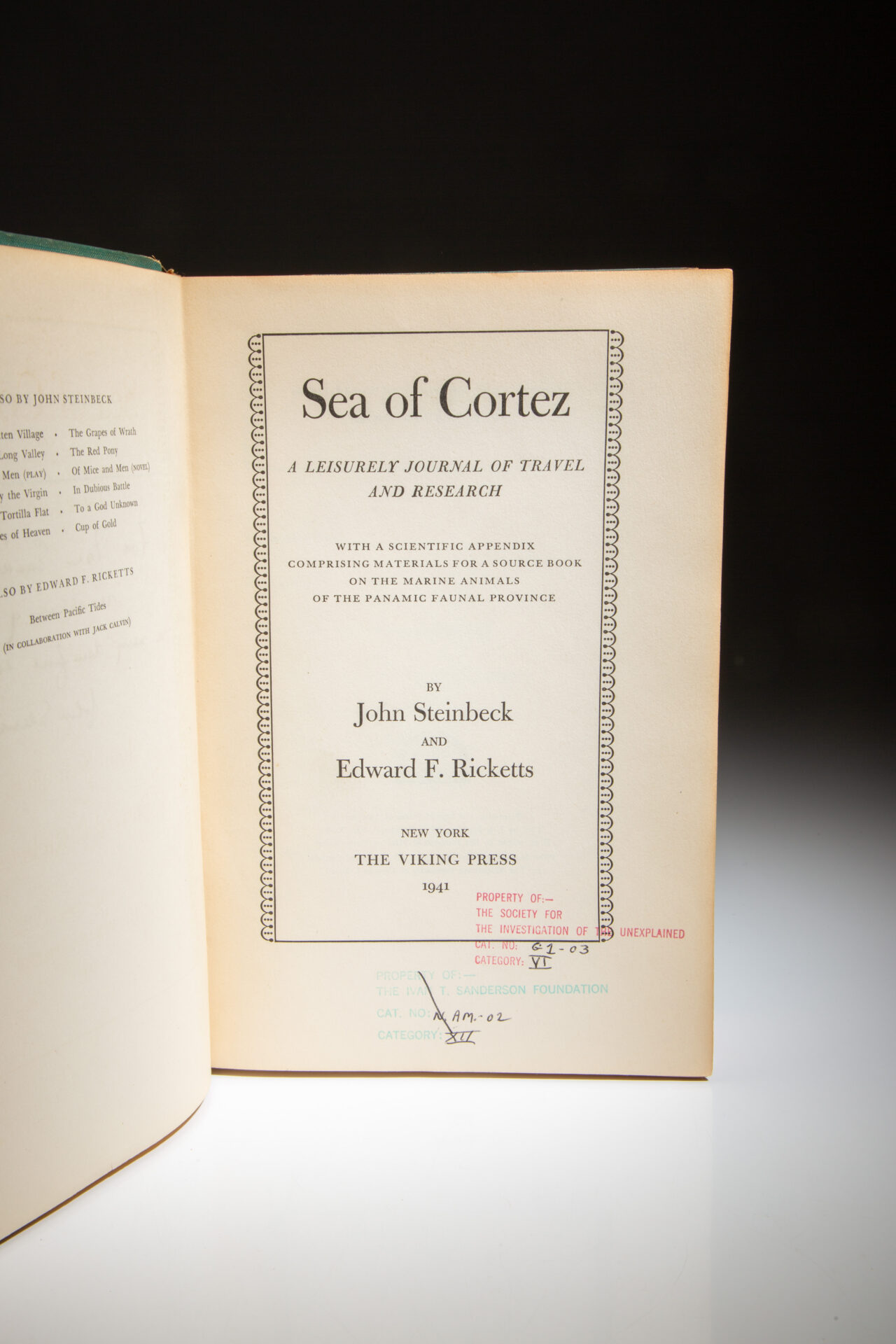 Sea of Cortez - Image 11