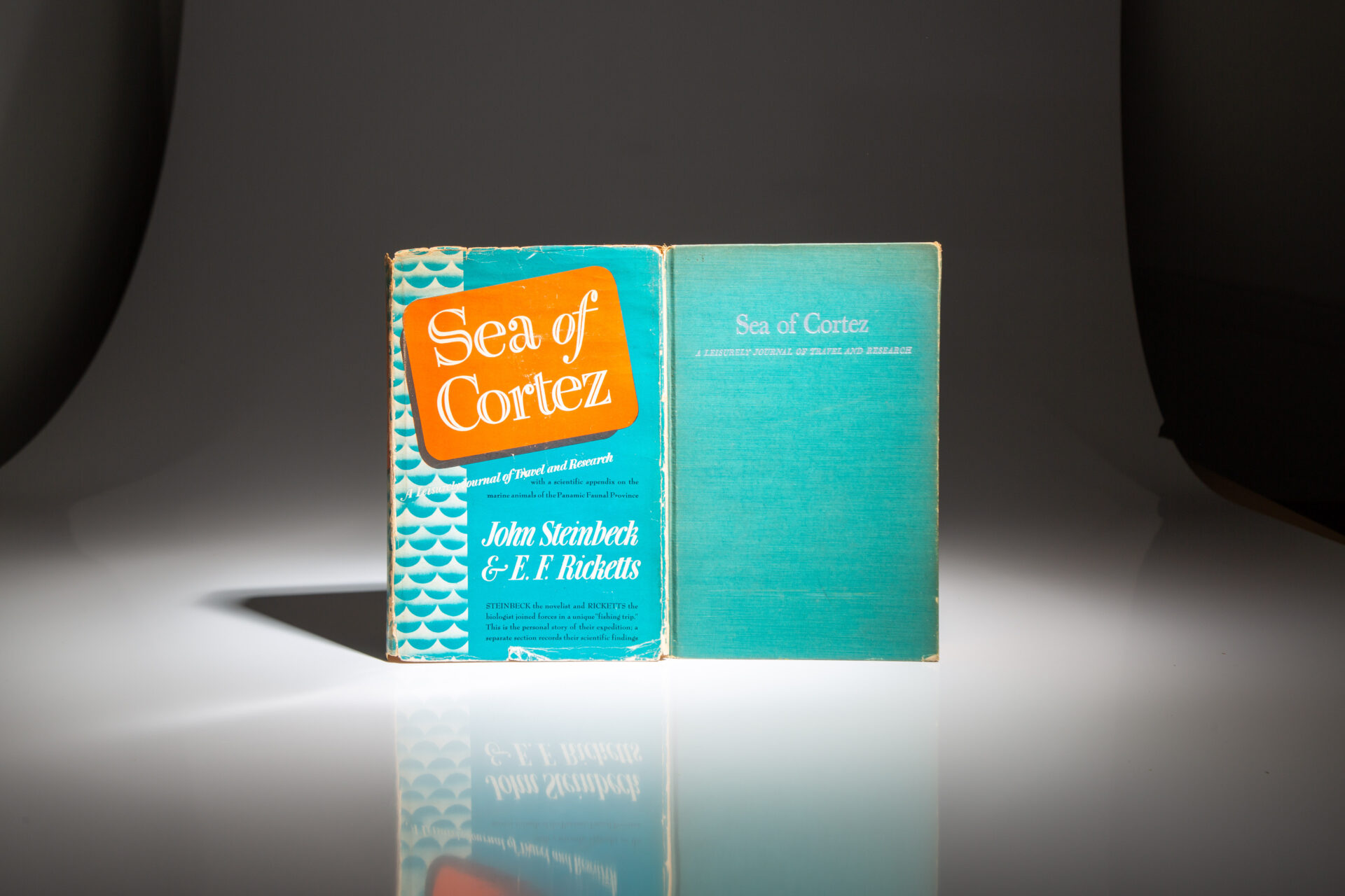 Sea of Cortez - Image 8