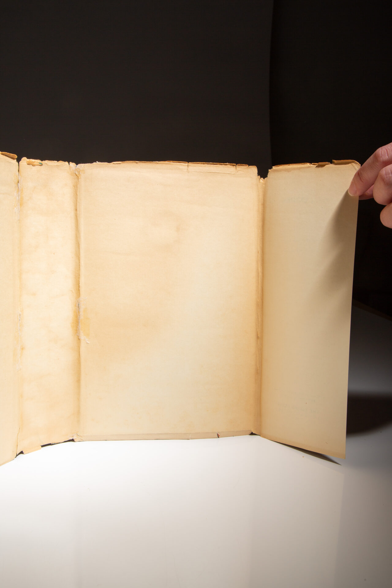 Sea of Cortez - Image 6