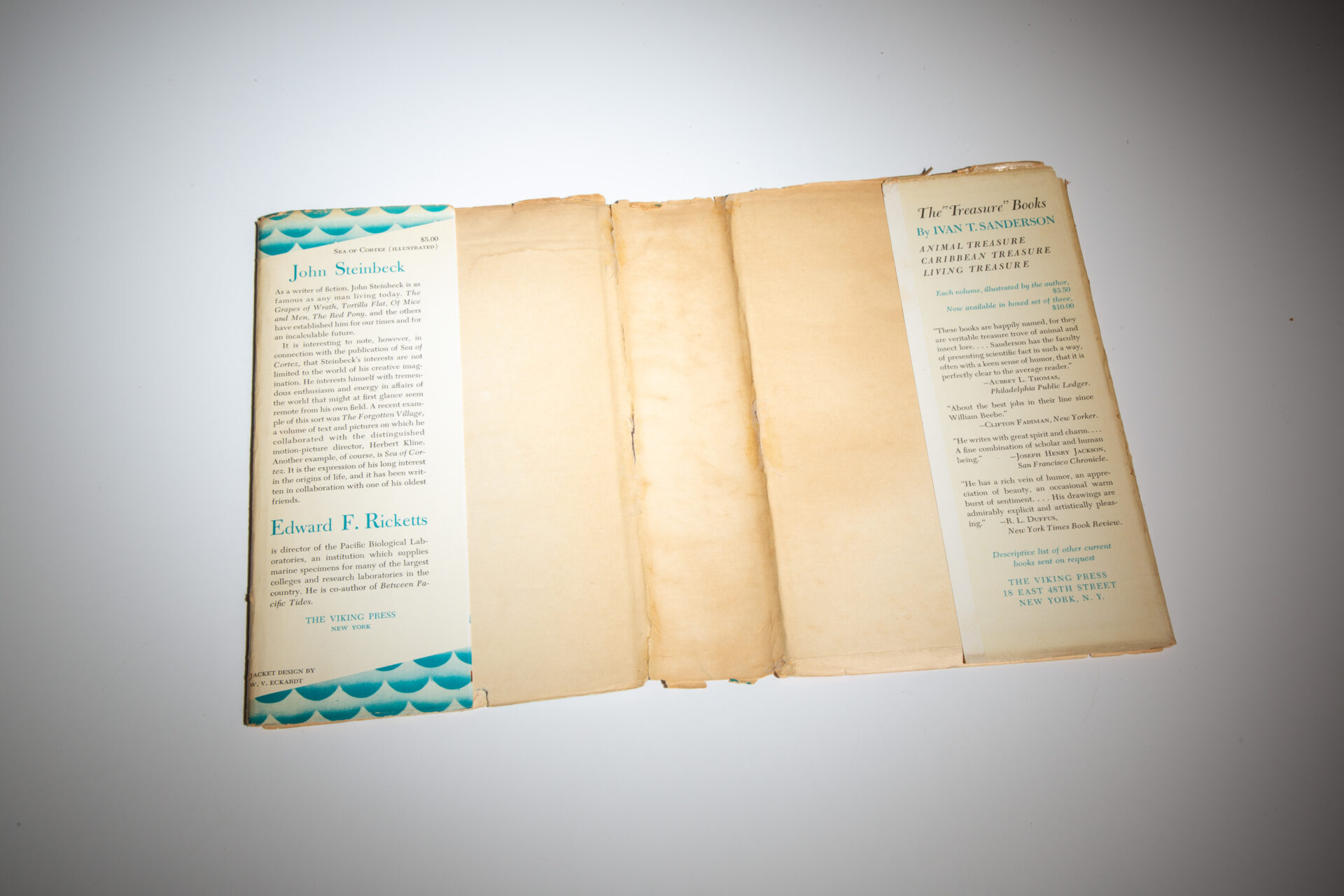 Sea of Cortez - Image 5