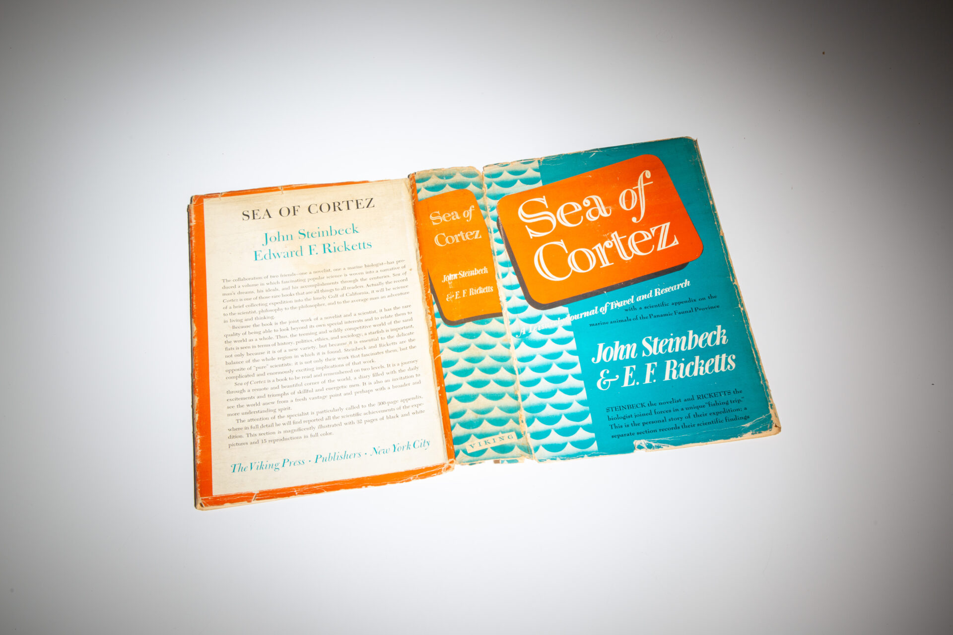 Sea of Cortez - Image 4