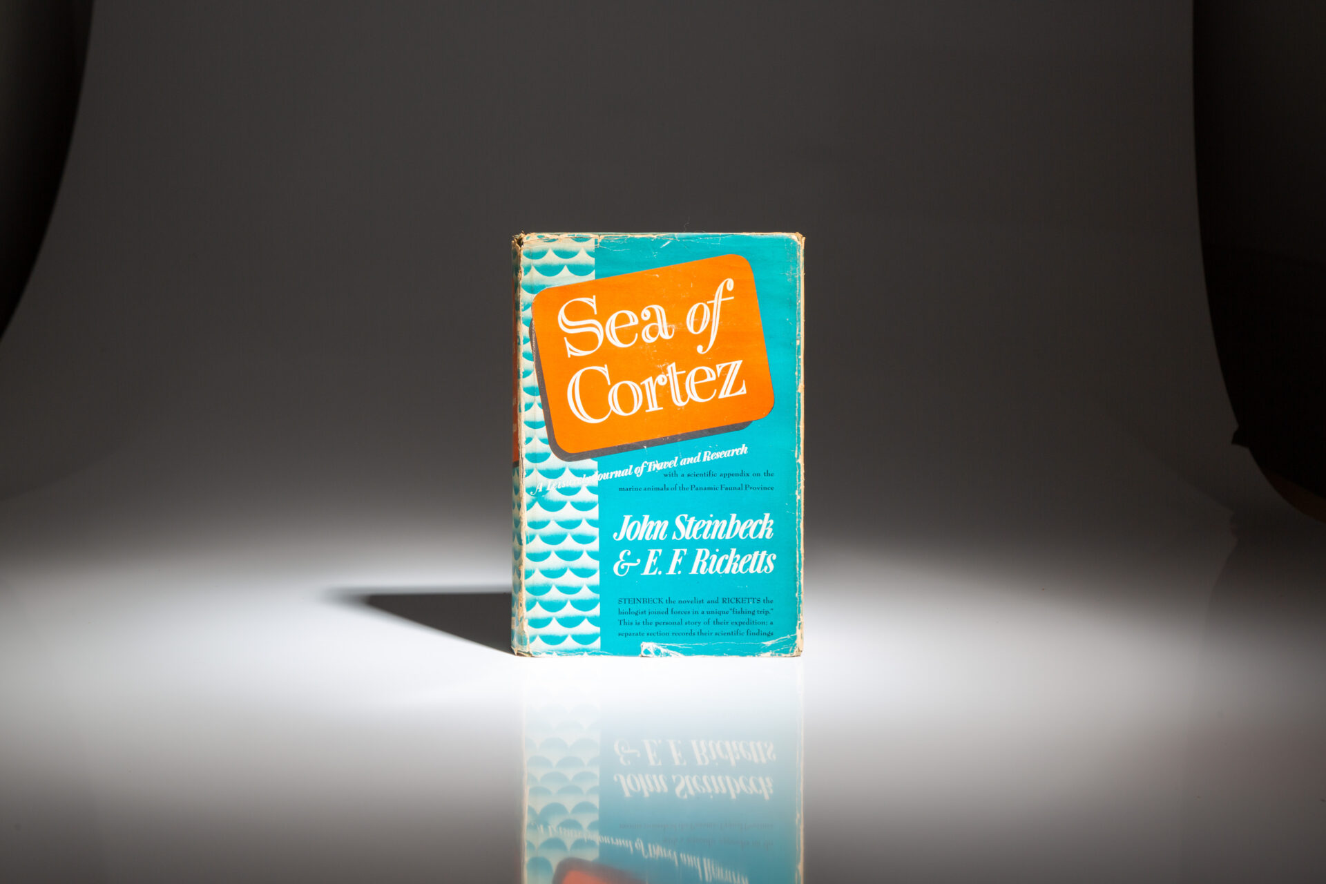 Sea of Cortez - Image 3