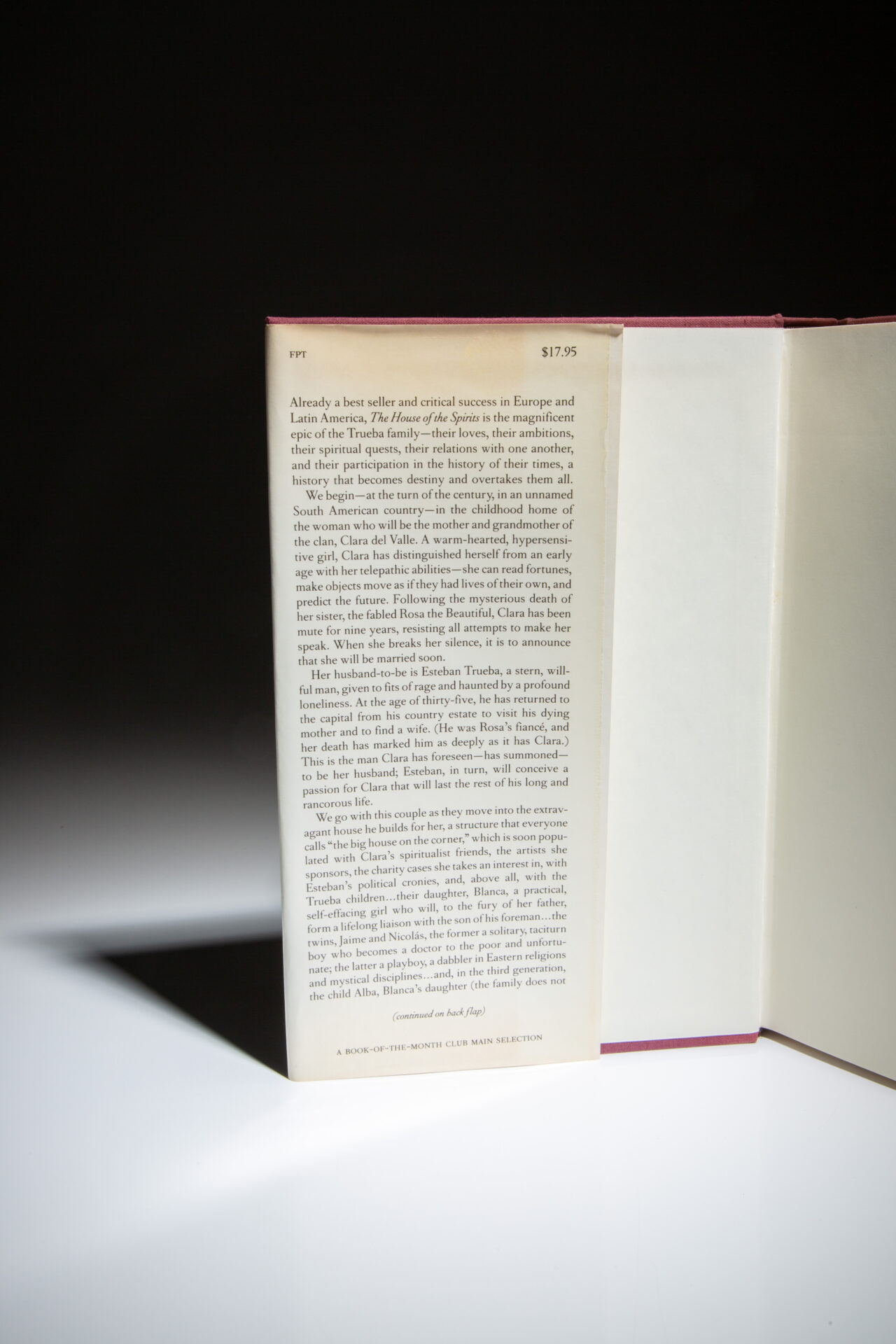 The House Of The Spirits - Image 2