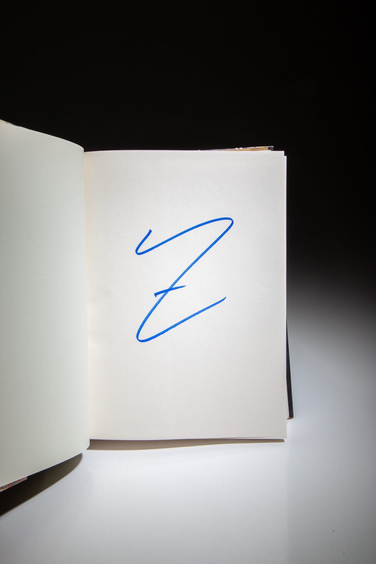 House Of Leaves - Image 3