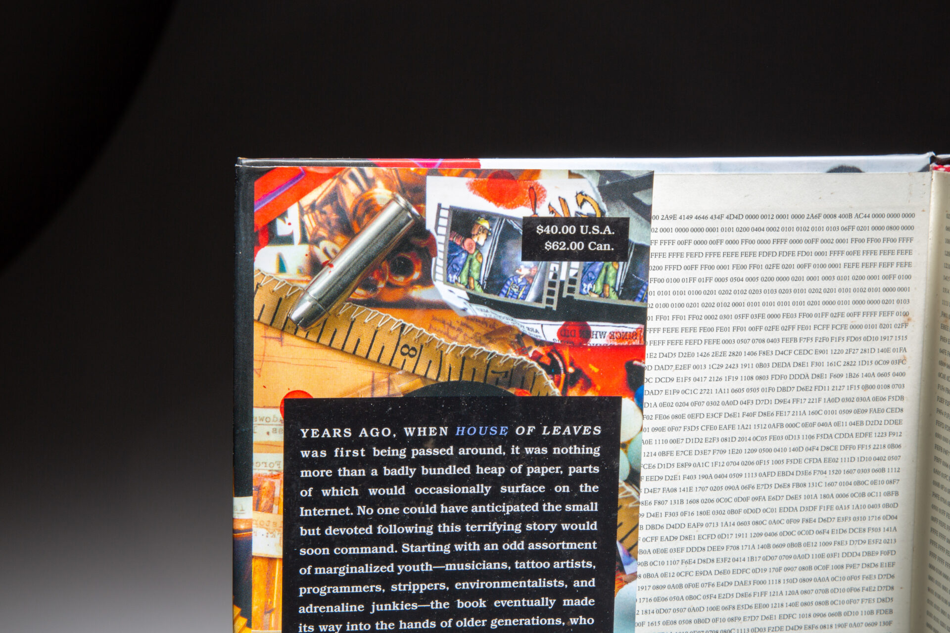 House Of Leaves - Image 2