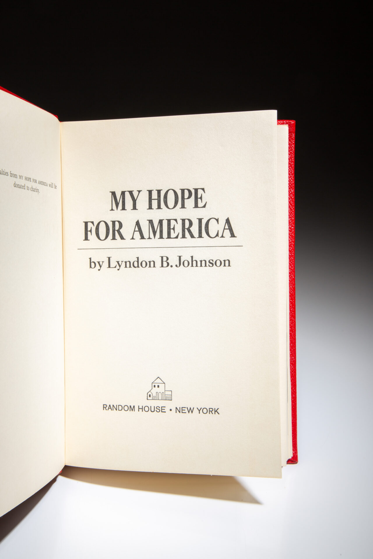 My Hope For America - Image 3