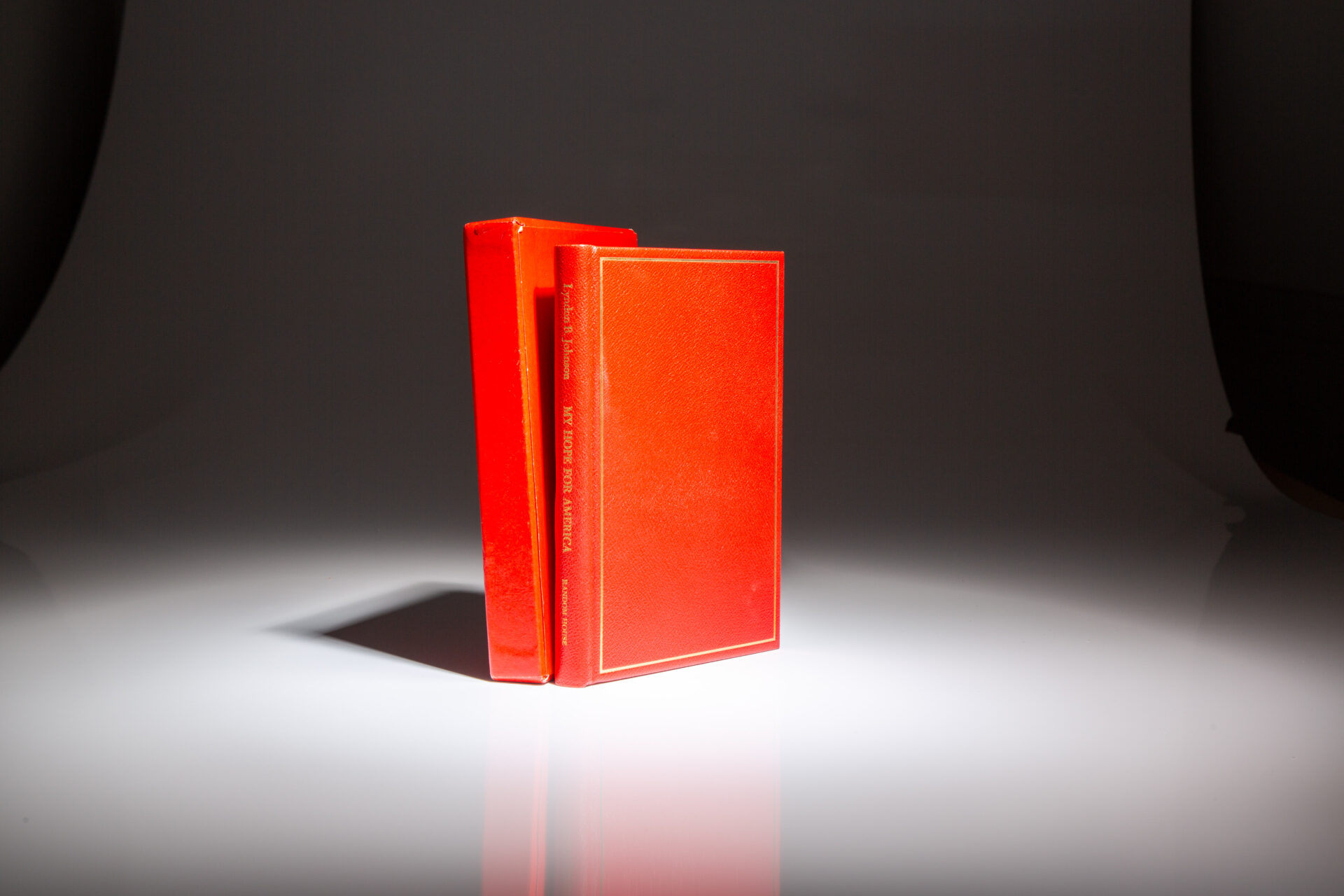 My Hope For America - Image 6