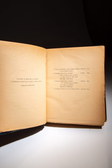 Ulysses - Image 3